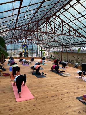Serada hatha yoga pratiği